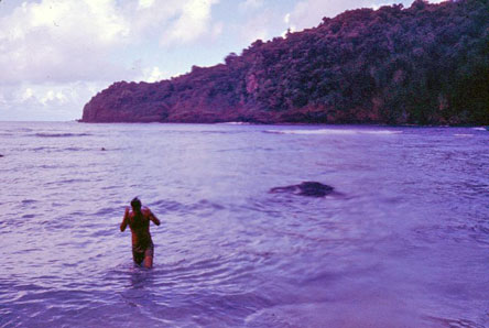 Tutuila north shore Stan Swerdloff