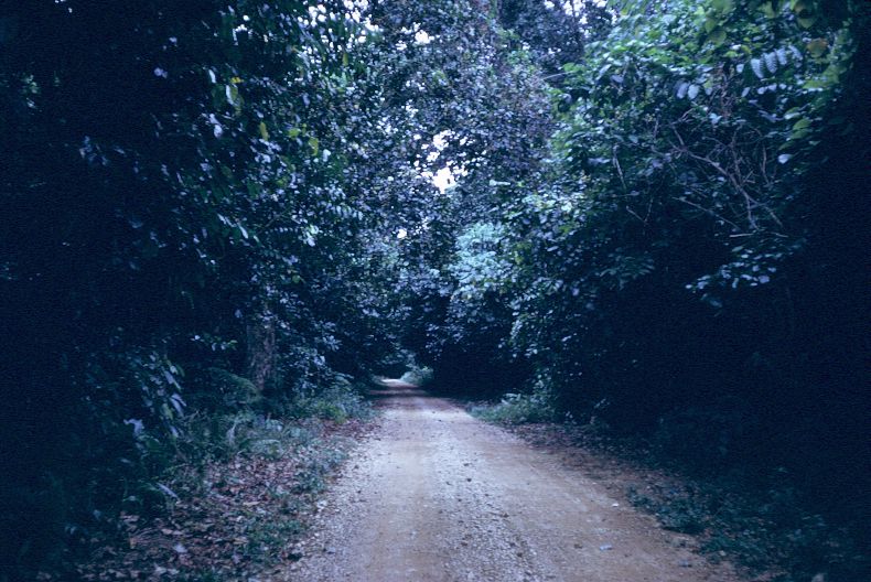 Niue1974