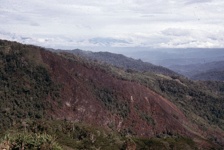 PNG_Wau1975