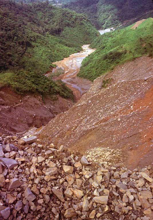 Bougainville1978