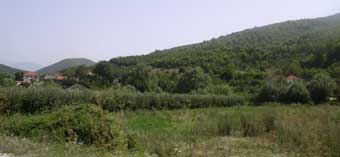 Hills and fields