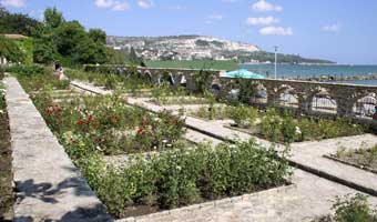 English rose garden