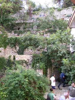 Palace gardens