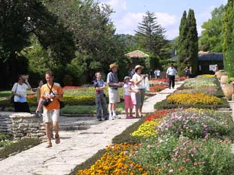Garden with Dahls