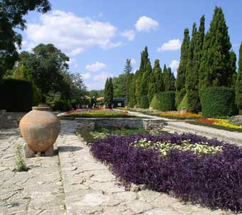 Garden with flowers