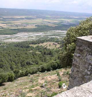 view