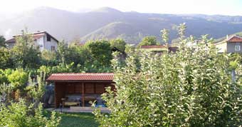 Krupnik garden