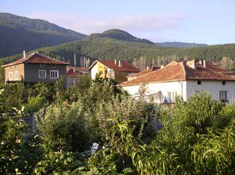 Krupnik garden