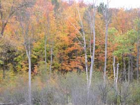 Quebec in autumn