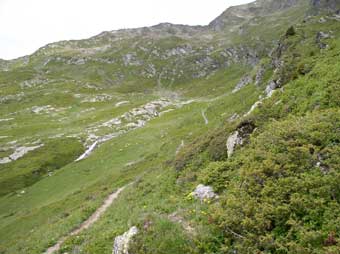 the trail up to Black Lake