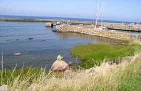 harbor at Gudhjem