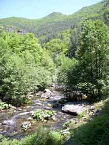 Canyon above Devin