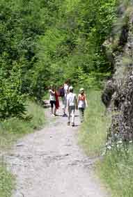 family on the trail