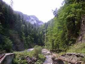 gorge of Yagodina