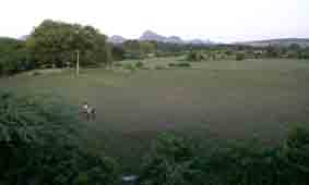 field