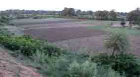 field