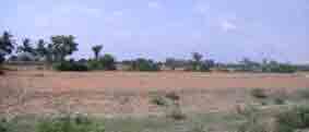 field