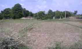 field