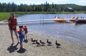 Mahalia and ducks