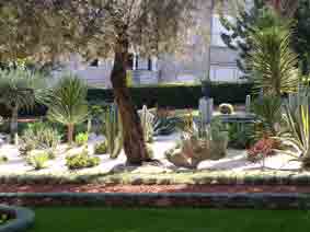 Gardens around Shrine of the Báb