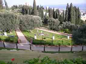 Arc gardens