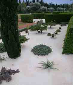 Bahji Visitors Centre garden