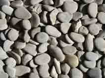 pebbles from the Sea of Galilee