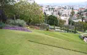 Lower terraces