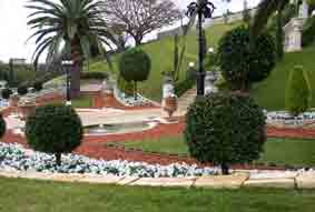 Lower terraces