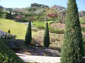 Upper terraces