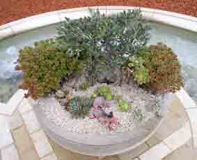 Terraces, vase garden