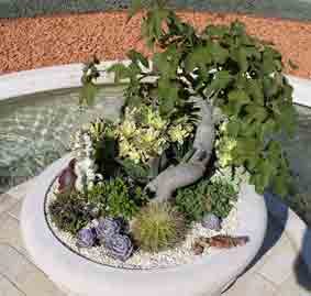 Terraces, vase garden