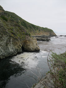 coast beyond landing