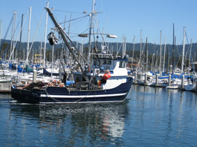 Fishing boat