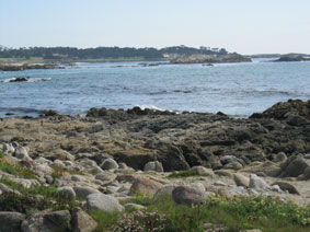 Cypress Point