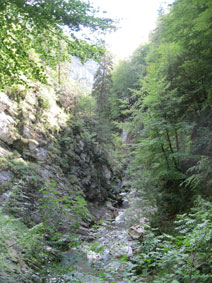 valley above gorge