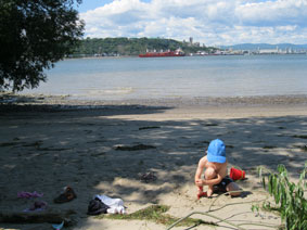 Benji at the beach