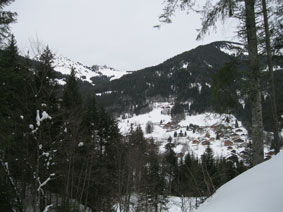 mountains through the trees