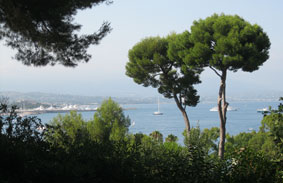 View