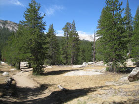 Tuolumne Meadows