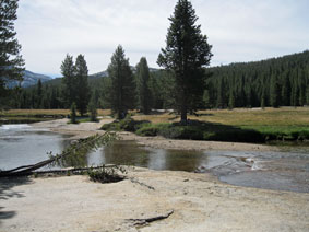 Tuolumne Meadows