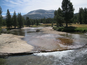 Lyell Fork Tuolumne River