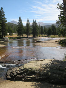 Tuolumne Meadows