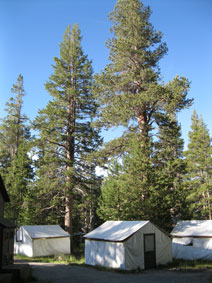 Tuolumne Meadows Lodge