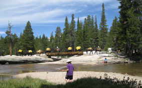 Mule pack train