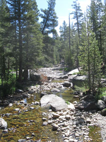 Tuolumne Meadows