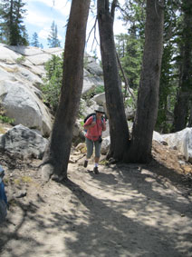 Trail to May Lake