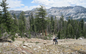 Trail to May Lake