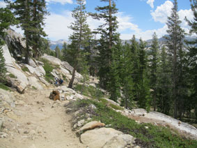 Trail to May Lake