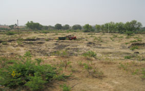 ckpura farms